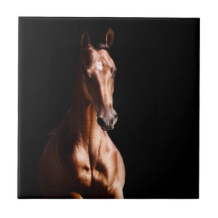 Azulejo De Cerámica Stallion Joven asombroso