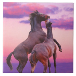 Azulejo De Cerámica Stallions Jugando mosaico