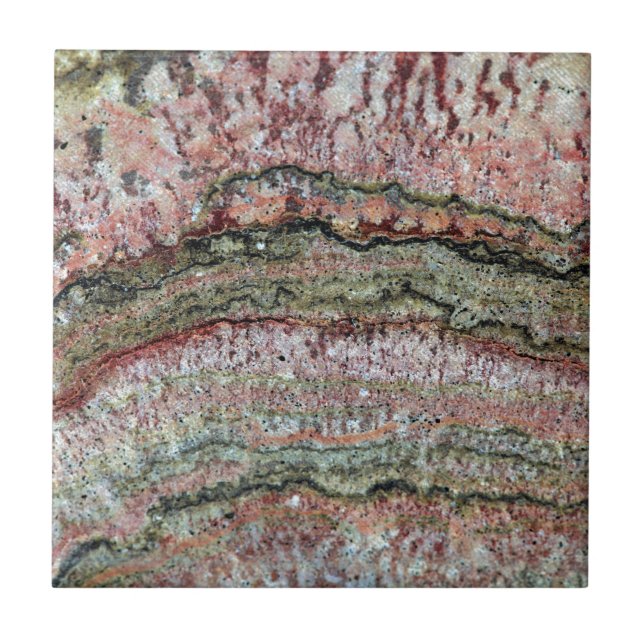 Azulejo De Cerámica Stromatolites fosilizado (Frente)