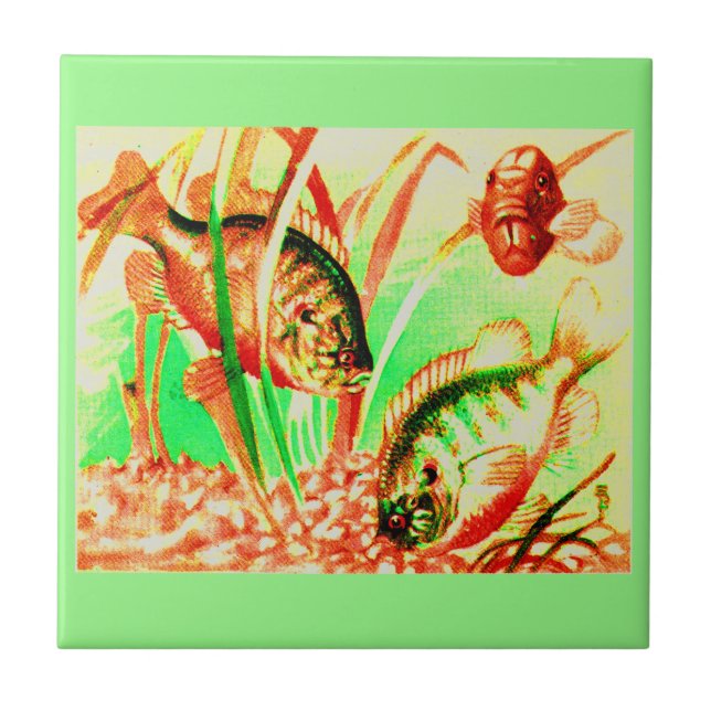 Azulejo De Cerámica Sunfish (Frente)
