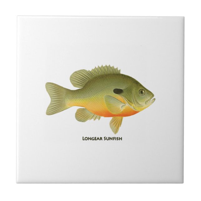 Azulejo De Cerámica Sunfish de Longear (Frente)