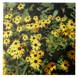 Azulejo De Cerámica Sunlit Meadow