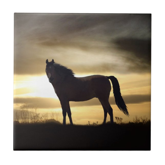 Azulejo De Cerámica Sunset Horse SIlhouette Gift Tile (Frente)