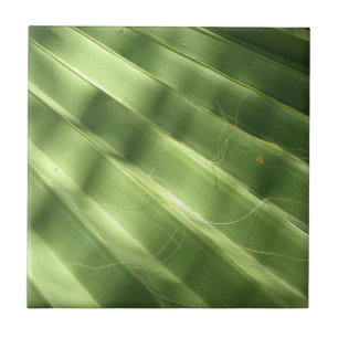 Azulejo De Cerámica Surfaces Guay Naturales_Fluted Frond