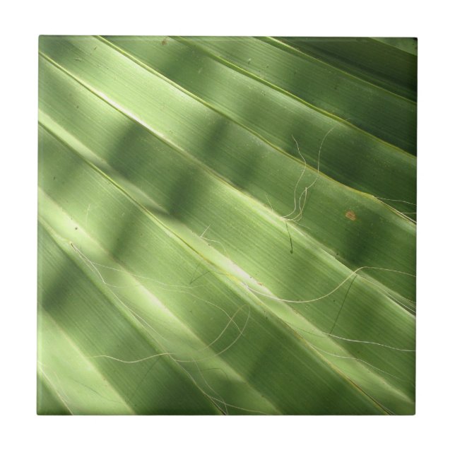 Azulejo De Cerámica Surfaces Guay Naturales_Fluted Frond (Frente)