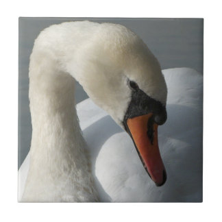 Azulejo De Cerámica Swan