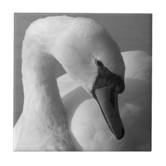Azulejo De Cerámica Swan (B&W)