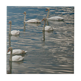 Azulejo De Cerámica Swan Song