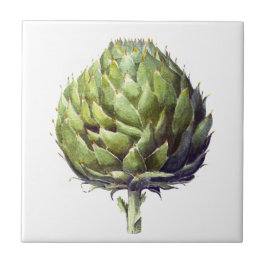 Azulejo De Cerámica Tapa cuadrada de alcachofa acuática de estilo vint