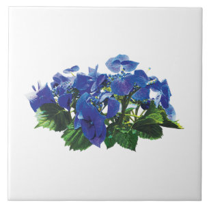 Azulejo De Cerámica Tapón de encaje de Hydrangea azul oscuro