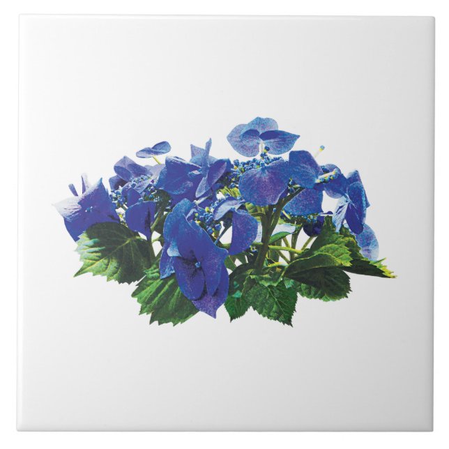 Azulejo De Cerámica Tapón de encaje de Hydrangea azul oscuro (Frente)