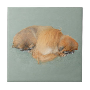 Azulejo De Cerámica Tarde Sleepy