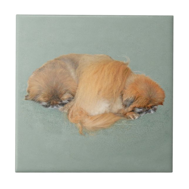 Azulejo De Cerámica Tarde Sleepy (Frente)