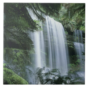 Azulejo De Cerámica Tasmania, Parque Nacional Mt. Field, Russell Falls