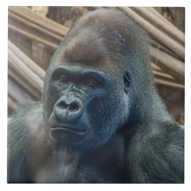 Azulejo De Cerámica Tejido cerámico (Frente)