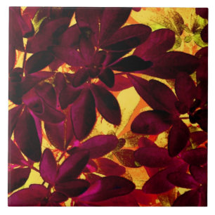 Azulejo De Cerámica Tejido cerámico de Choisya Autumn