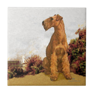 Azulejo De Cerámica Terrier Irlandés en la Costa