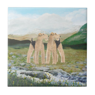 Azulejo De Cerámica Terriers en Irlanda