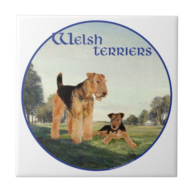 Azulejo De Cerámica Terriers galeses (Frente)