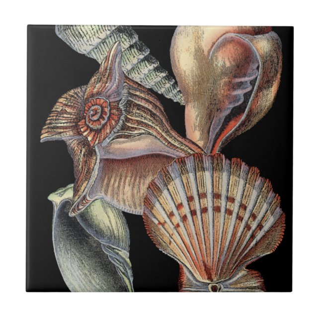 Azulejo De Cerámica Tesoros del mar (Frente)