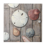 Azulejo De Cerámica Tesoros marinos<br><div class="desc">Megan Meagher es conocida por sus simples obras de arte. Esta imagen refleja la sencillez de los tesoros de la orilla del mar, incluidos los dólares de arena y las conchas en un tono pastel. Meagher abarca un fondo de madera en su imagen para contrastar estos tesoros. Obtén esta buena...</div>