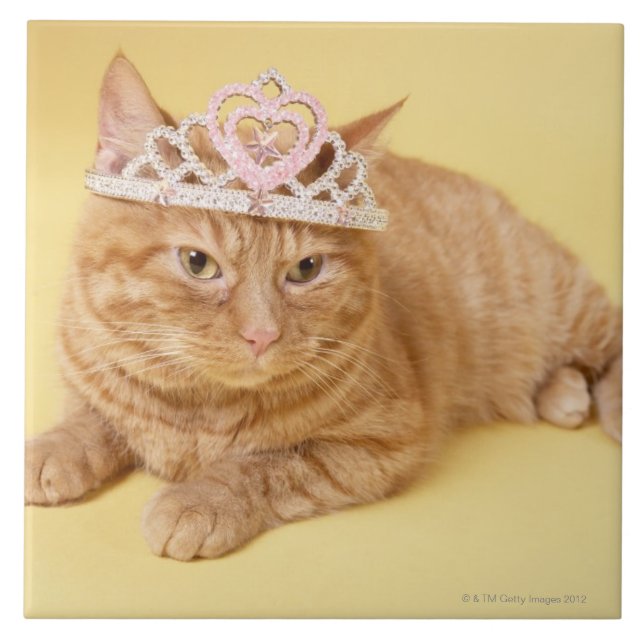 Azulejo De Cerámica Tiara que lleva del gato (Frente)