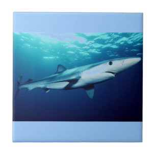 Azulejo De Cerámica Tiburón azul