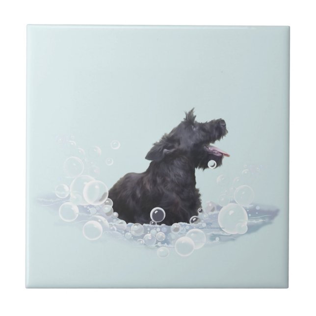 Azulejo De Cerámica Tiempo de baño (Frente)