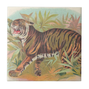 Azulejo De Cerámica Tigre
