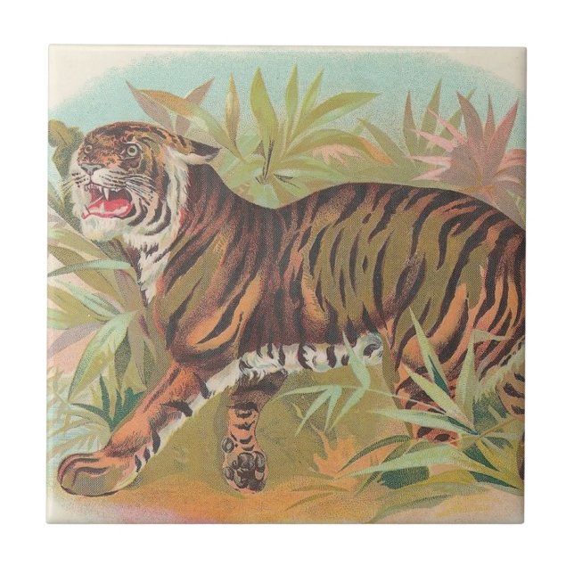 Azulejo De Cerámica Tigre (Frente)