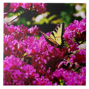 Azulejo De Cerámica Tigre Swallowtail en Azalea