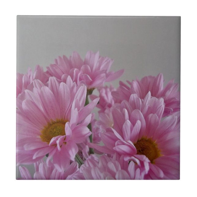 Azulejo De Cerámica Tile Cerámico Floreal (Frente)