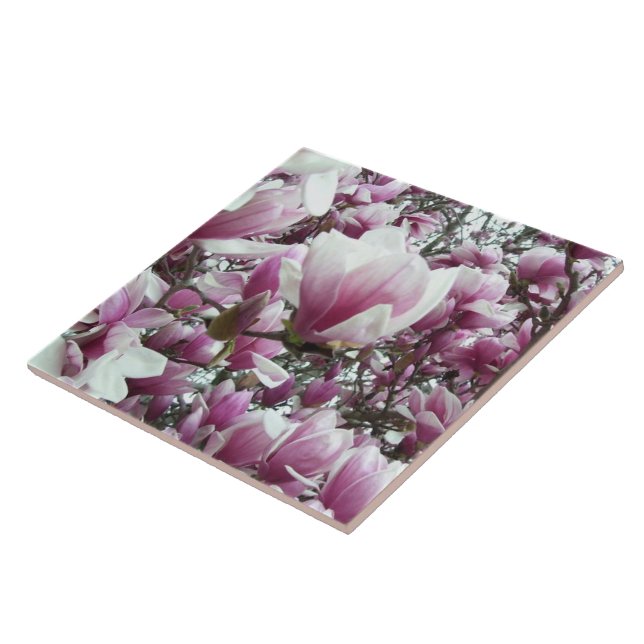 Azulejo De Cerámica Tile cerámico - Saucer Magnolia (Lado)