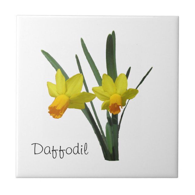 Azulejo De Cerámica Tile - Daffodil (Frente)