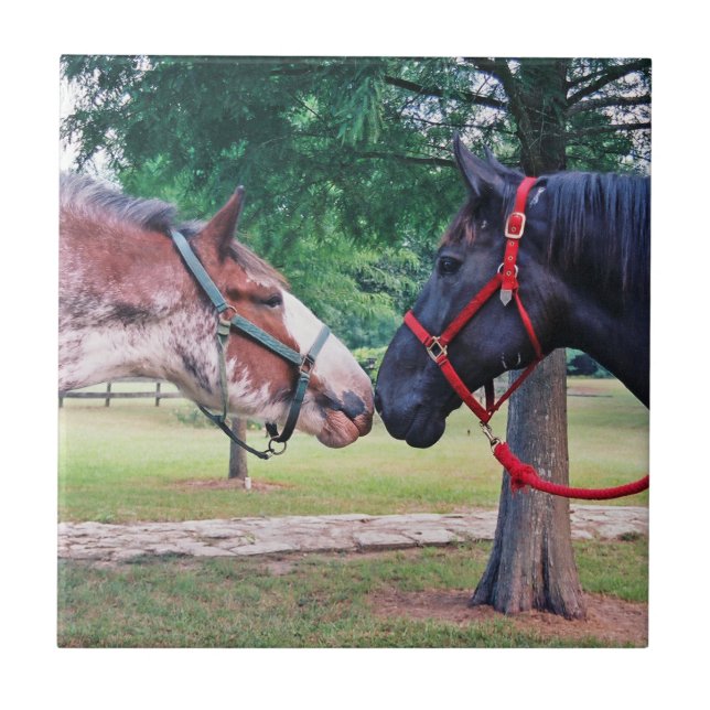 Azulejo De Cerámica Tile de caballos de Borrador (Frente)