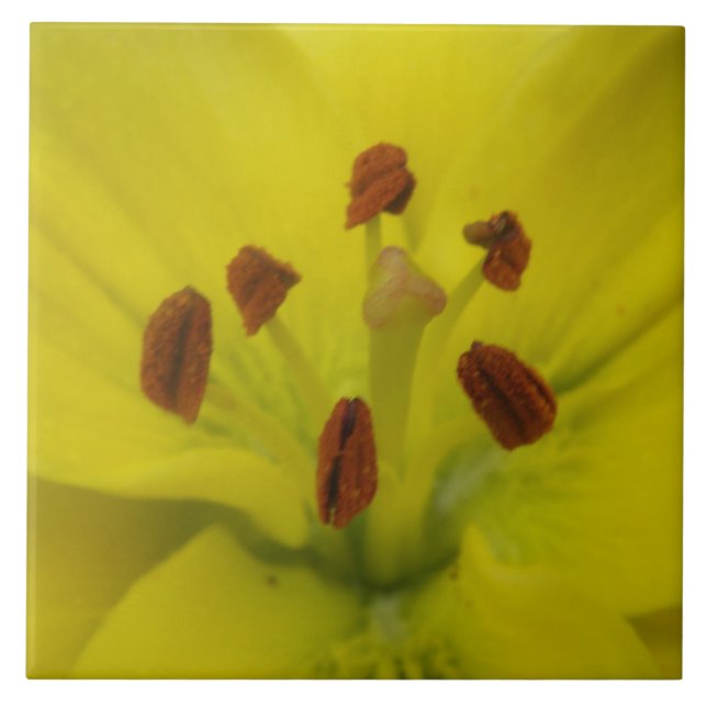 Azulejo De Cerámica Tile floral amarillo (Frente)