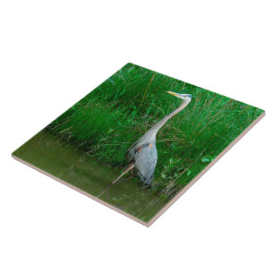 AZULEJO DE CERÁMICA TILE, "HERÓN AZUL DE POND" (FOTO).