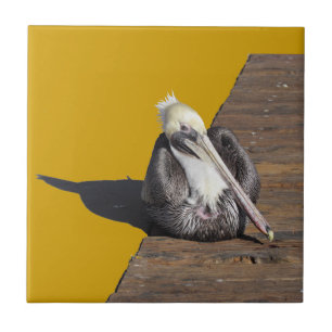Azulejo De Cerámica Tile - Pelican en el paseo marítimo