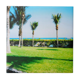 Azulejo De Cerámica Tile Tropical Trees