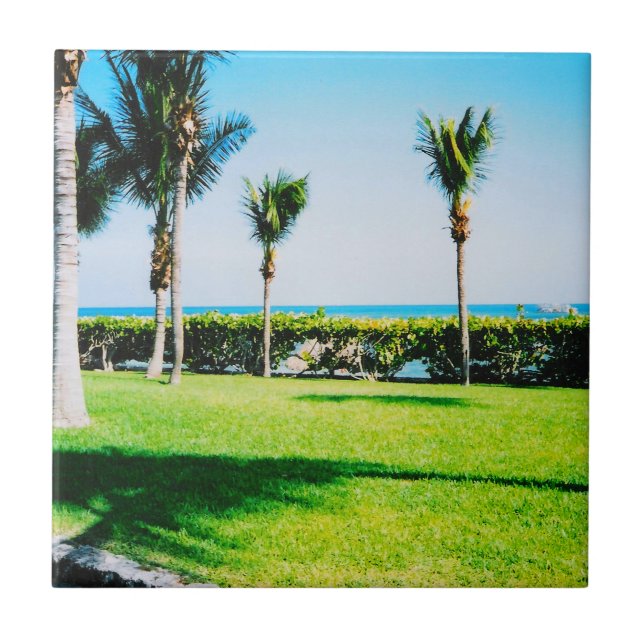 Azulejo De Cerámica Tile Tropical Trees (Frente)