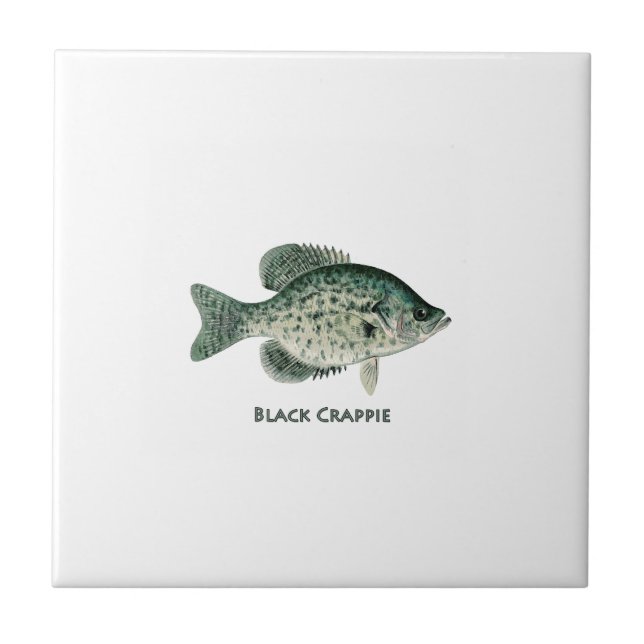 Azulejo De Cerámica Tipo de pez negro (Frente)