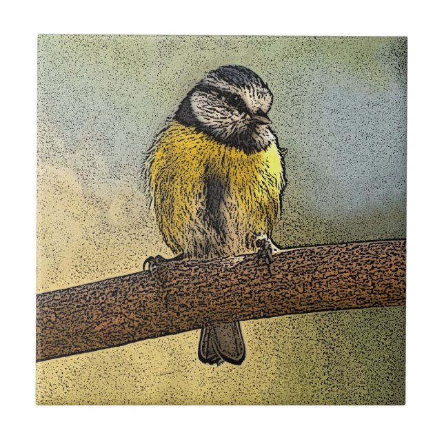 Azulejo De Cerámica Tit azul europeo (Frente)