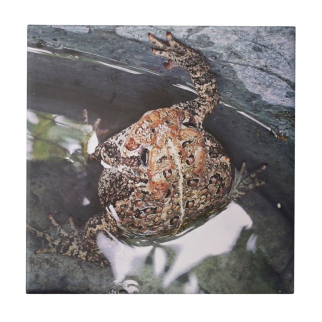 Azulejo De Cerámica Toad (Frente)