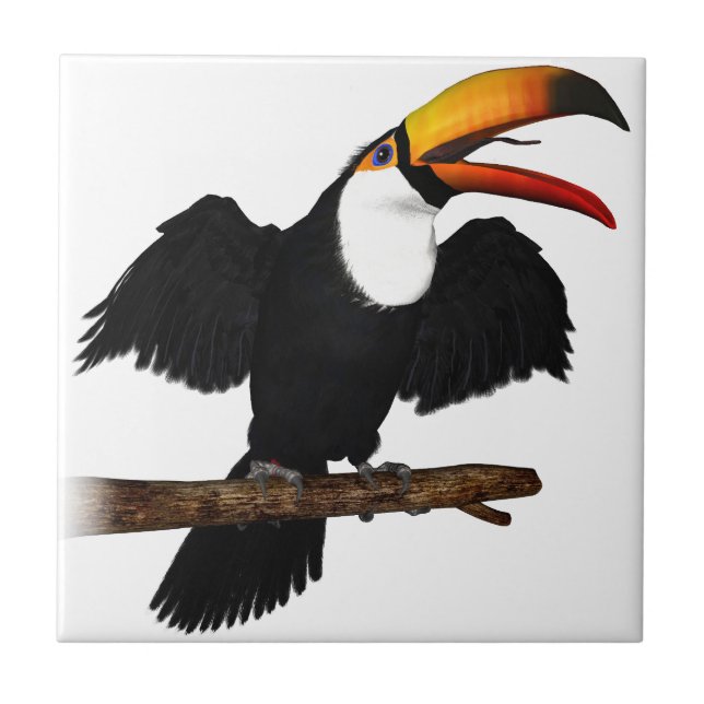 Azulejo De Cerámica Toco Toucan (Frente)