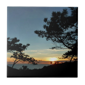 Azulejo De Cerámica Torrey Pine Sunset III California