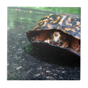 Azulejo De Cerámica Tortuga de caja