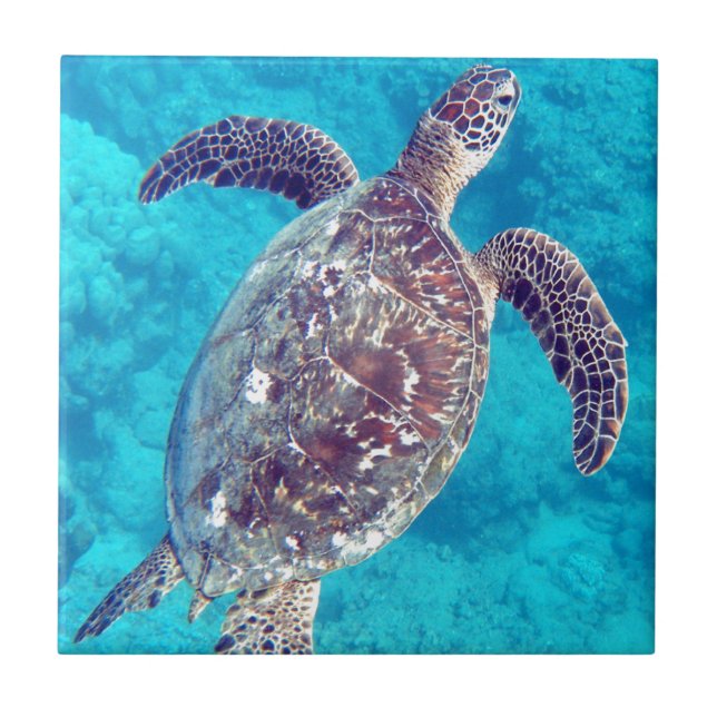 Azulejo De Cerámica Tortuga de mar verde de Hawaii (Frente)