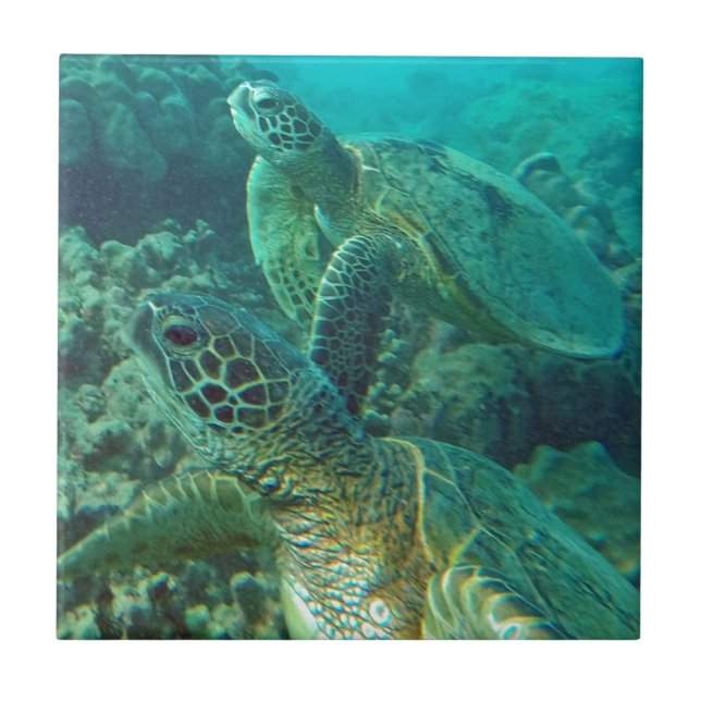 Azulejo De Cerámica Tortugas de mar verde de Hawaii (Frente)