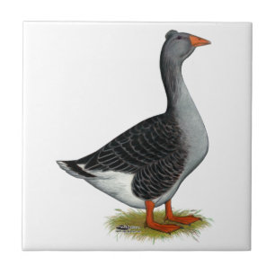 Azulejo De Cerámica Toulouse Goose