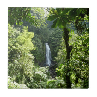 Azulejo De Cerámica Trafalgar cae fotografía tropical de selva tropica